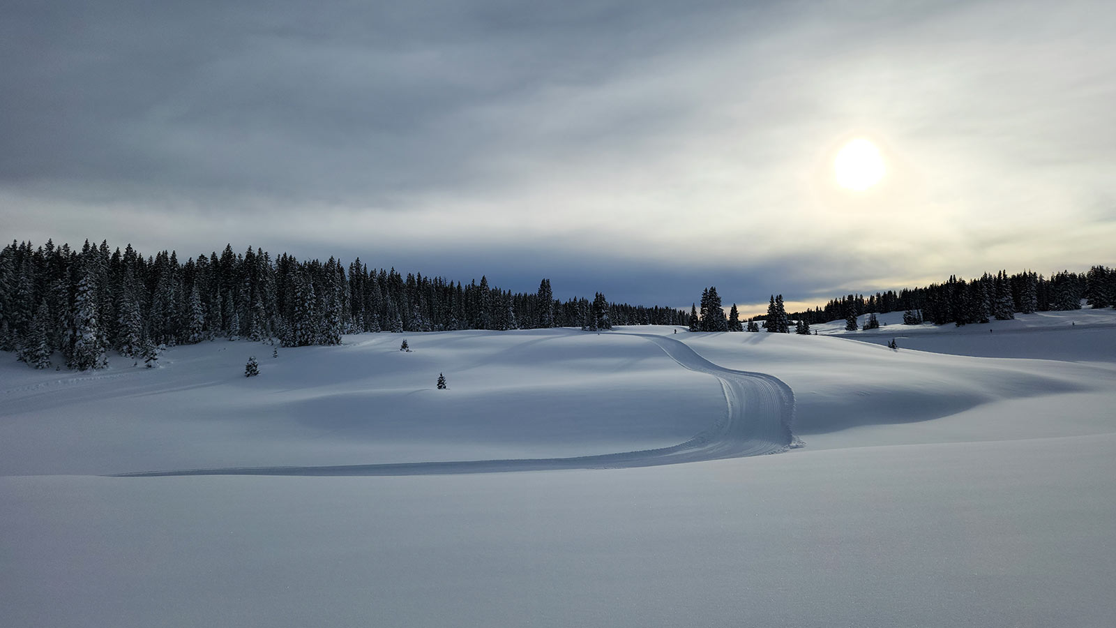Cross country ski trails on Grand Mesa