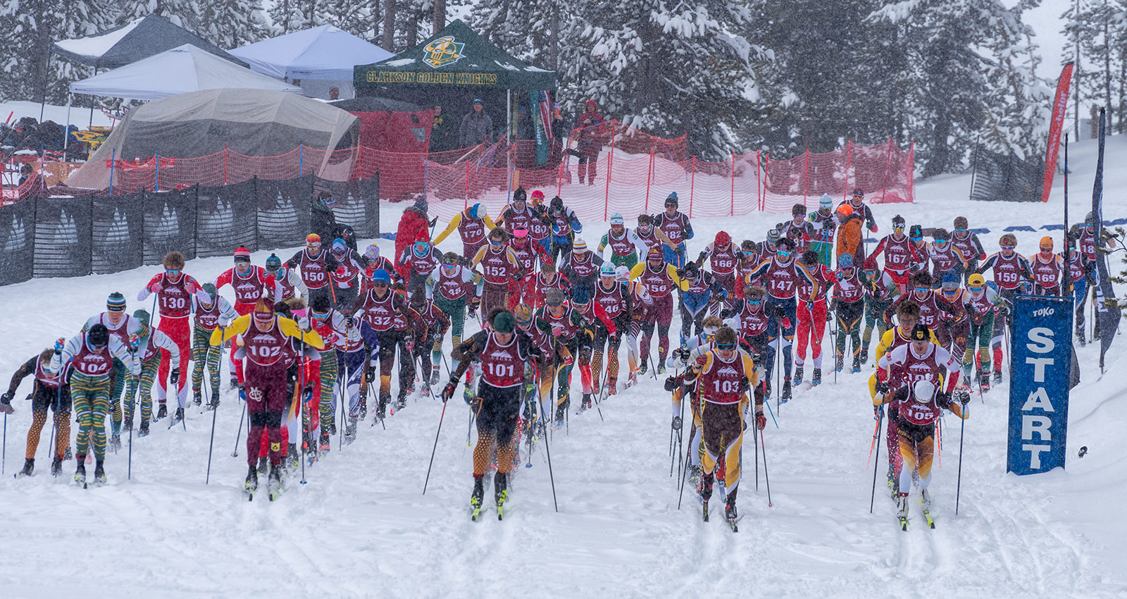 Large group of collegiate cross country skiers at the start of a race on a snowy forest course, showing a wide range of classic and skate ski lengths and pole lengths similar to those discussed in the article.