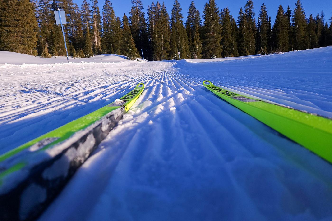 View from skis on freshly groomed cross country ski tracks with snow and pine trees ahead.