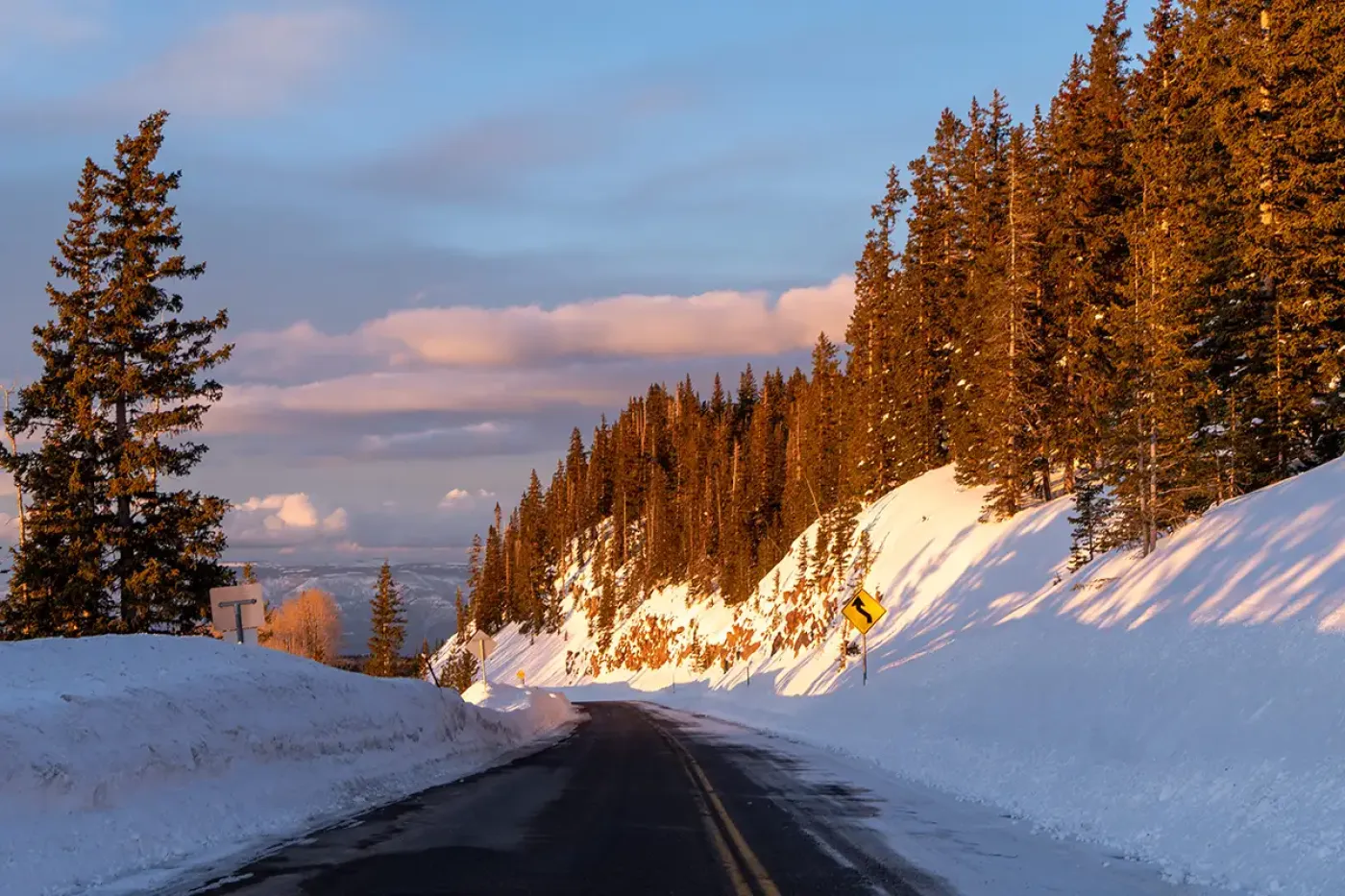 Photo of Highway 65 on Grand Mesa in Colorado