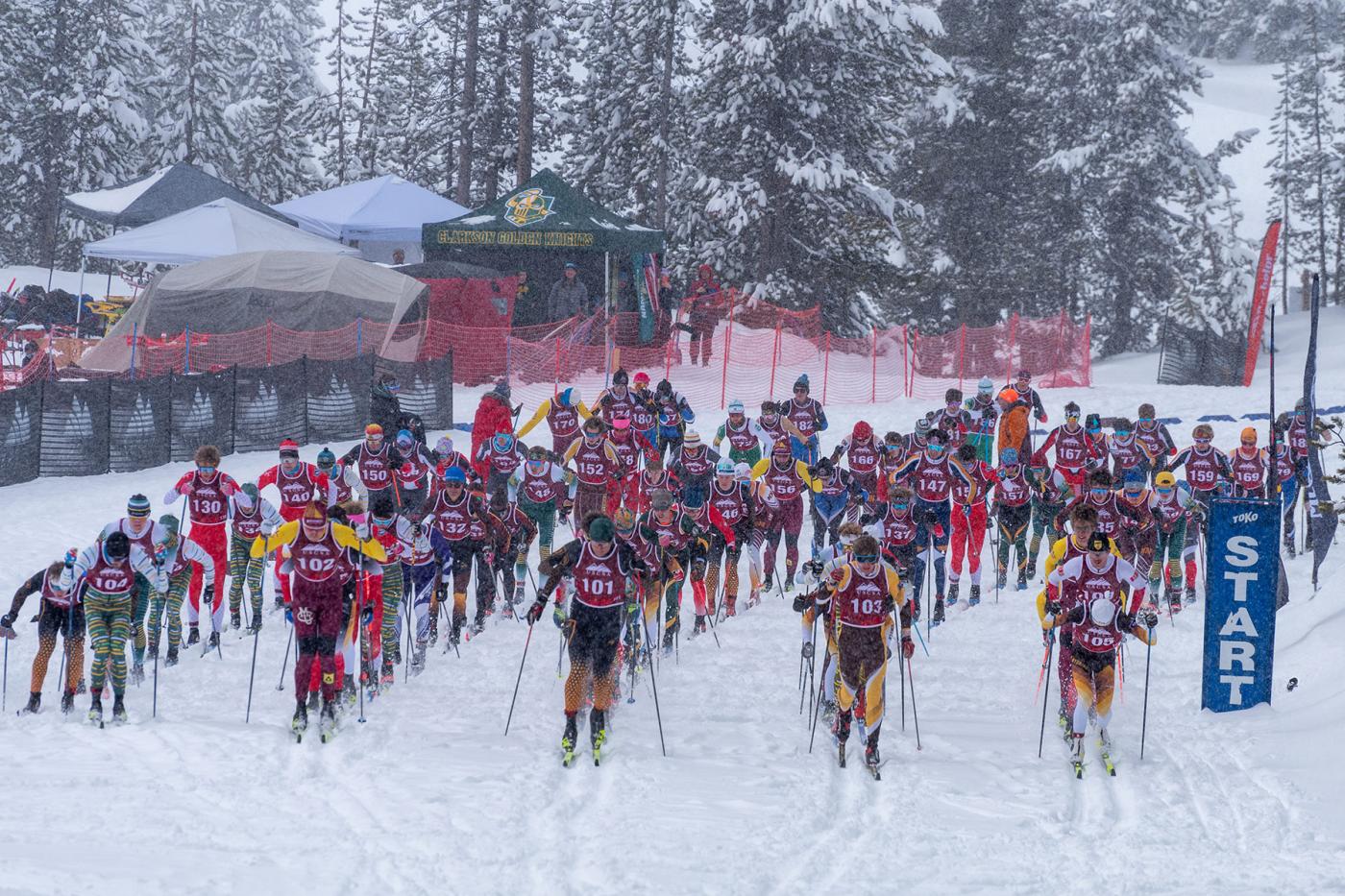 Large group of collegiate cross country skiers at the start of a race on a snowy forest course, showing a wide range of classic and skate ski lengths and pole lengths similar to those discussed in the article.